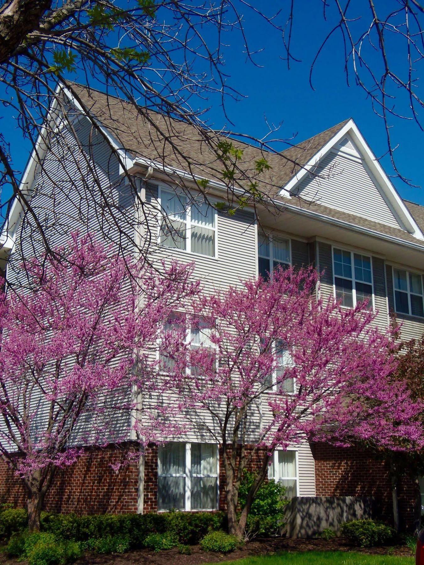 Residence Inn Indianapolis Airport Εξωτερικό φωτογραφία